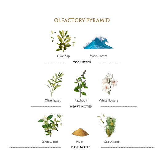 L'Olivier Shaving Soap