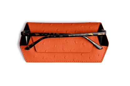 Glasses Case