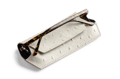 Glasses Case