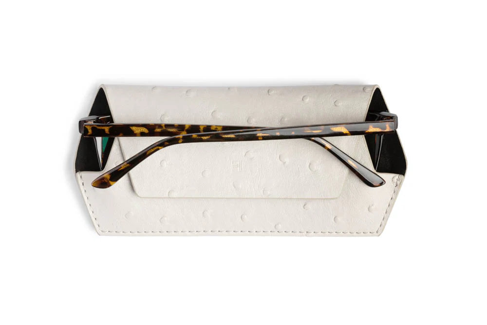 Glasses Case